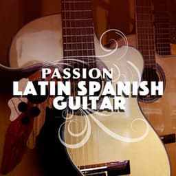 Passion: Latin Spanish Guitar - Latin Passion