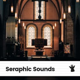 Seraphic Sounds - Relaxed Minds