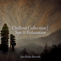 Chillout Collection | Spa & Relaxation - Deep Sleep Relaxation