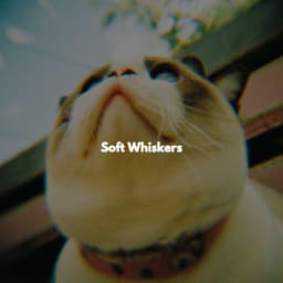 Soft Whiskers - Coffeehouse Music