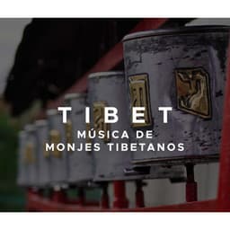 Tibet: Musica de Monjes Tibetanos para Mantras Tibetanos con Cuencos Tibetanos y Musica Relajante - Cuencos Tibetanos