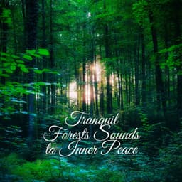 Tranquil Forests Sounds to Inner Peace - Mother Nature Music Academy