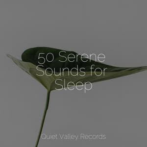 50 Serene Sounds for Sleep - Pink Noise