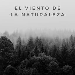 El Viento De La Naturaleza - La biblioteca al aire libre