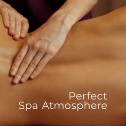 Perfect Spa Atmosphere: Tranquil Nature, Restorative Music, Natural Therapy and Relaxation - Soothing Sounds Universe