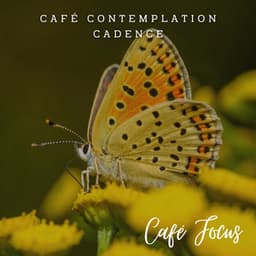 Study Serenades: Jazz Café Focus - Relaxing Jazz Sessions