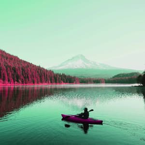 Lofi - Lo-fi Hip Hop Beats