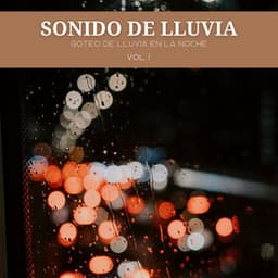 Sonido De Lluvia: Goteo De Lluvia En La Noche Vol. 1 - Ruido Astral