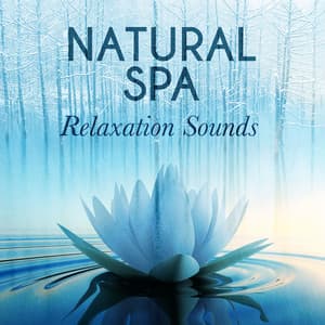 Natural Spa Relaxation Sounds - Sleep Music with Nature Sounds Relaxation