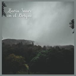 Lluvia Suave en el Bosque - Naturaleza Sonidos