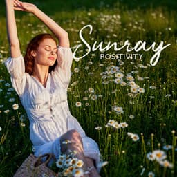 Sunray Positivity: Summer R&B - Jazz Instrumental Music Academy