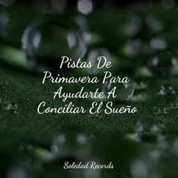 Pistas De Primavera Para Ayudarte A Conciliar El Sueño - Ioga