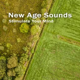 Stimulate Your Mind with New Age Sounds – Melodies for Positive Attitude, Productive Learning, Study Vibes - Study New Age Counter Display