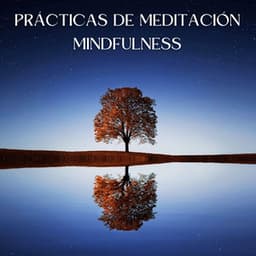 Prácticas De Meditación Mindfulness - Santiago Lorenzo Amor