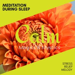 Meditation During Sleep - Stress Relief Melody - Relaxing Minds