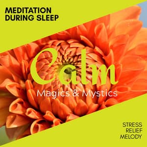 Meditation During Sleep - Stress Relief Melody - Relaxing Minds
