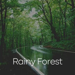 Rainy Forest - Rain Radiance