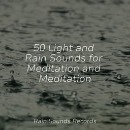 50 Light and Rain Sounds for Meditation and Meditation - Avslappning Sound