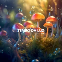Tempo da Luz - Zona Música Relaxante