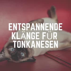 Entspannende Klänge für Tonkanesen - Katzenmusik