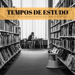 Tempos De Estudo: Estude Com Os Sons Relaxantes Das Correntes De Água - Música de Relaxamento No Spa