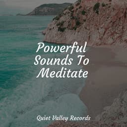Powerful Sounds To Meditate - Musica para Massagem Especialistas