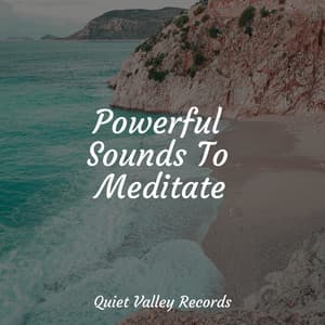 Powerful Sounds To Meditate - Musica para Massagem Especialistas