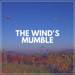 The Wind's Mumble - Soft Soundscapes