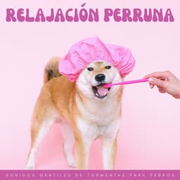 Relajación Perruna: Sonidos Gentiles De Tormentas Para Perros - Tormenta de truenos y lluvia