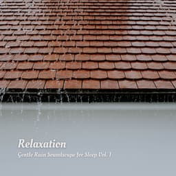 Relaxation: Gentle Rain Soundscape for Sleep Vol. 1 - Some Music