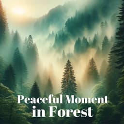 Peaceful Moment in Forest - Inspiring Tranquil Sounds