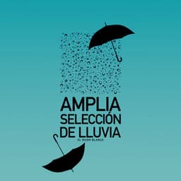 Amplia selección de lluvia - El Ruido Blanco