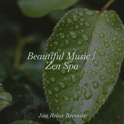 Beautiful Music | Zen Spa - Relajación