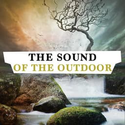 The Sound of the Outdoors - Sweet Baby Sleep Baby