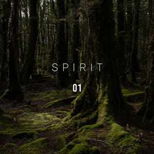Spirit 01 - Rain Sounds & Nature Sounds