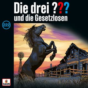 Folge 222: und die Gesetzlosen - Die drei ???