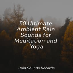 50 Ultimate Ambient Rain Sounds for Meditation and Yoga - Sonido Del Bosque y Naturaleza