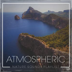 Atmospheric nature sounds playlist - Nature Sounds