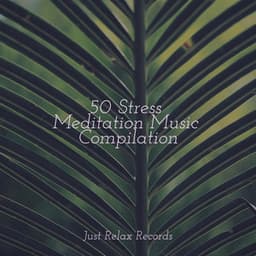 50 Stress Meditation Music Compilation - Nursery Rhymes Club