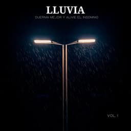Lluvia: Duerma Mejor Y Alivie El Insomnio Vol. 1 - Sonidos De Truenos y Lluvia