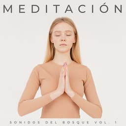 Meditación: Sonidos Del Bosque Vol. 1 - El colectivo de la selva tropical