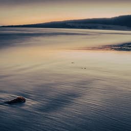 50 Ambient Waves: Seabed Stillness - Sea Waves Sounds