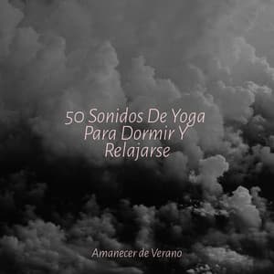 50 Sonidos De Yoga Para Dormir Y Relajarse - Musica Para Estudiar Academy