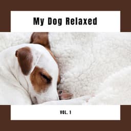 My Dog Relaxed Vol. 1 - Sounds Dogs Love