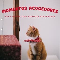 Momentos Acogedores Para Gatos Con Sonidos Binaurales - Movimientos Binaurales