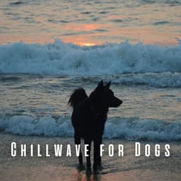 Chillwave for Dogs: Chill Sounds for Tranquil Doggy Moments - Waves of Atlantic