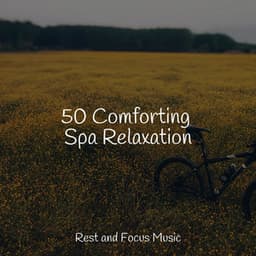 50 Comforting Spa Relaxation - Sleep Meditation Dream Catcher