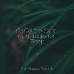 50 Calm Nature Rain Tracks for Sleep - Sounds of Nature Relaxation