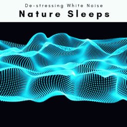 2022 Nature Sleeps - De-stressing White Noise