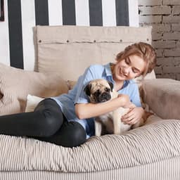 Canine Comforts: Peaceful Nature Rain Tunes for Nervous Dogs Relaxation - Cloud Cover